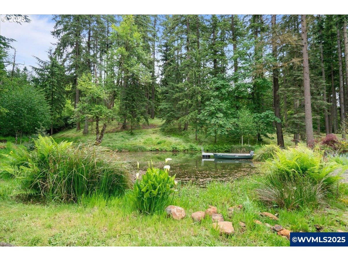 5225 Forest Ridge Road Northeast Silverton, OR 97381 - Photo 8 of 35 Gallery Image 8
