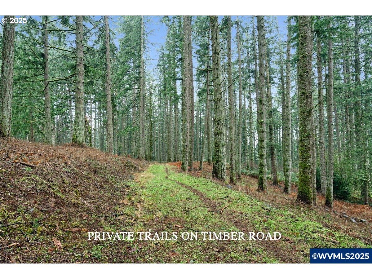 5225 Forest Ridge Road Northeast Silverton, OR 97381 - Photo 10 of 35 Gallery Image 10