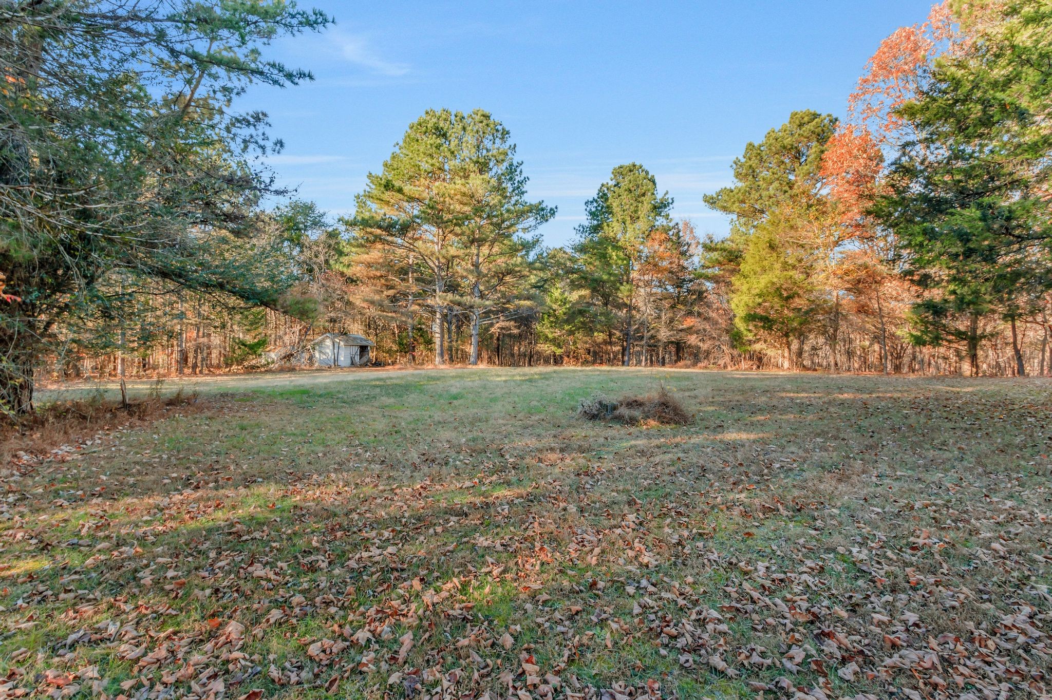 7164 Dice Lampley Road Fairview, TN 37062 - Photo 38 of 42 a view of a field with trees