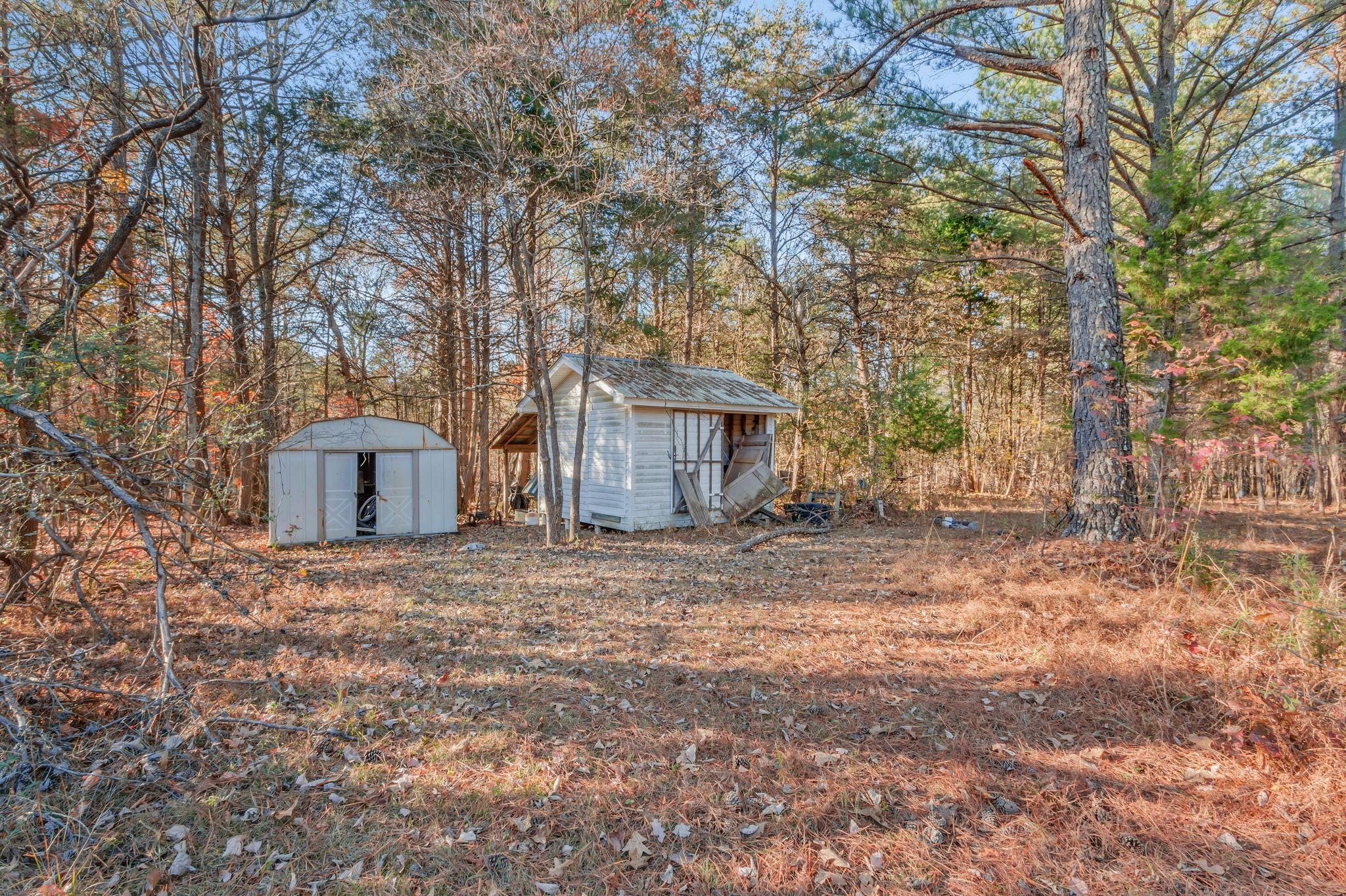 7164 Dice Lampley Road Fairview, TN 37062 - Photo 39 of 42 a house with trees in front of it