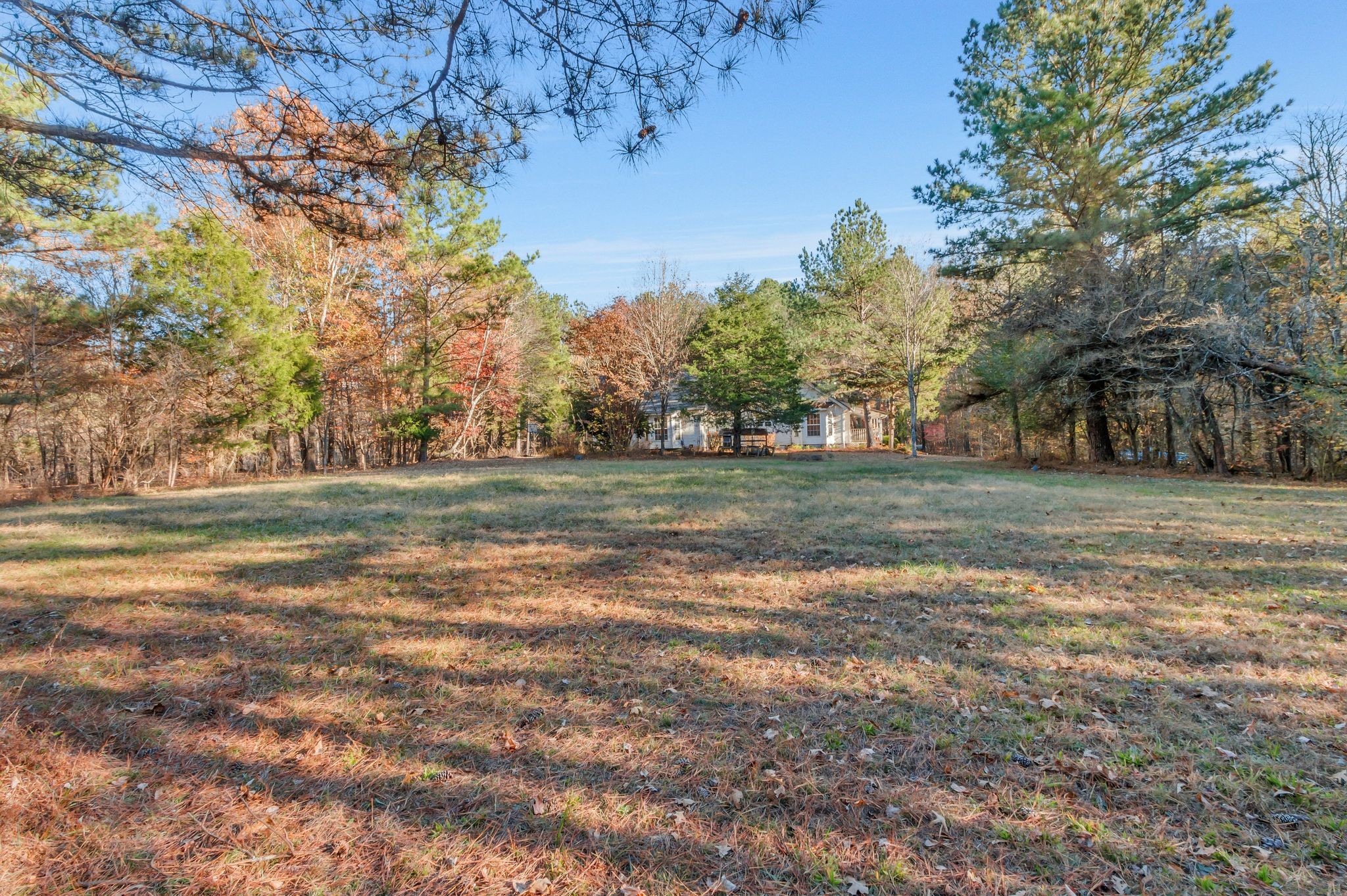 7164 Dice Lampley Road Fairview, TN 37062 - Photo 40 of 42 a backyard of a house with lots of green space