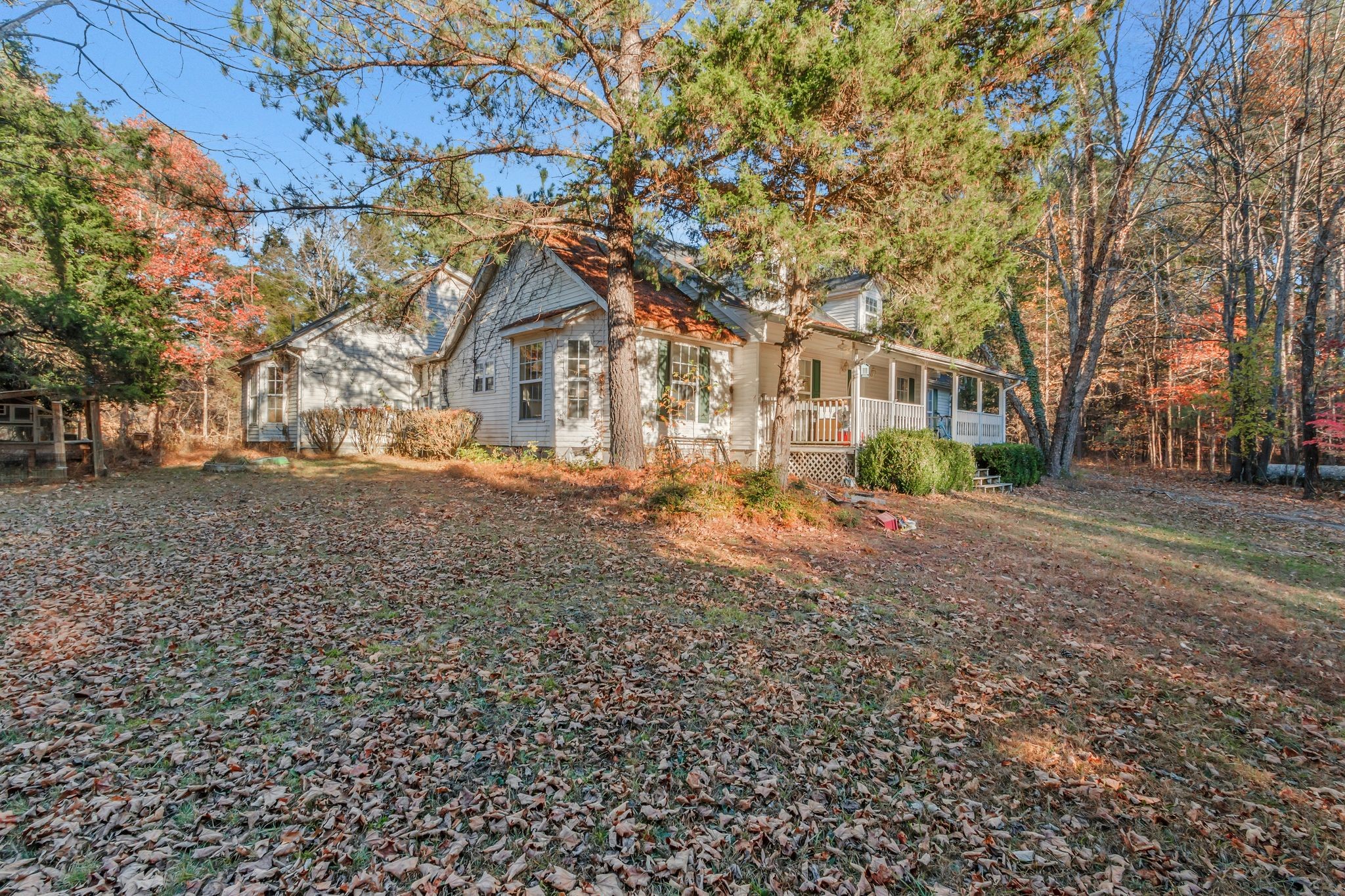 7164 Dice Lampley Road Fairview, TN 37062 - Photo 6 of 42 a view of a yard with a large tree