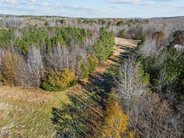 a view of a lush green field with lots of bushes