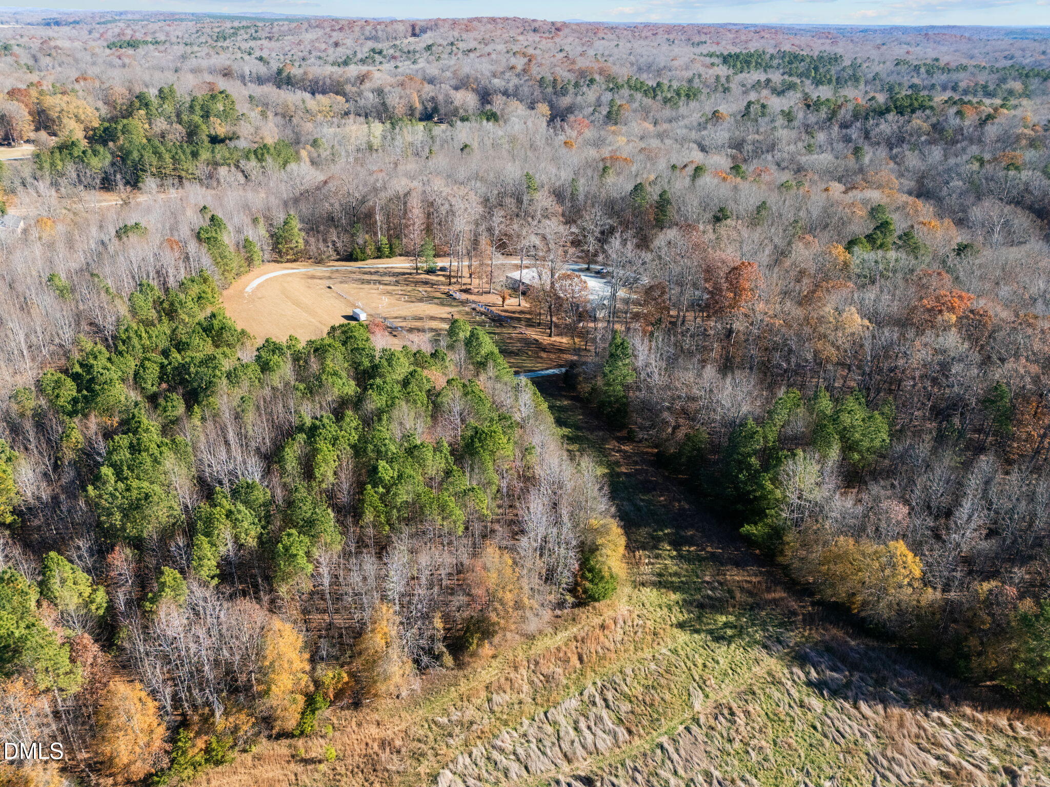 7884 South Lowell Road Bahama, NC 27503 - Photo 5 of 12 a view of a yard with trees