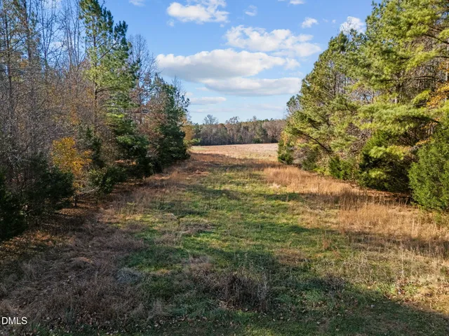 a view of a yard with an trees