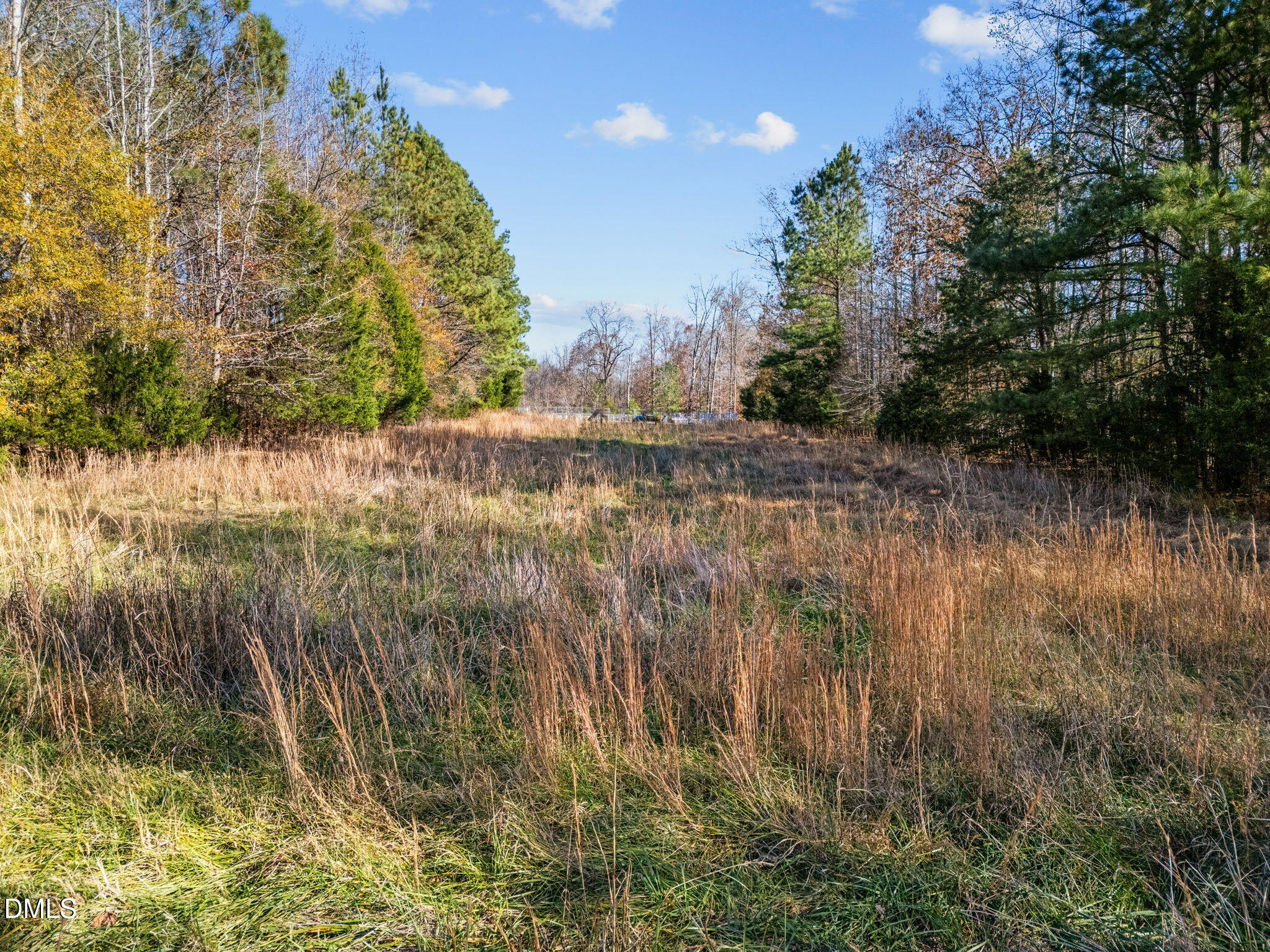 7884 South Lowell Road Bahama, NC 27503 - Photo 9 of 12