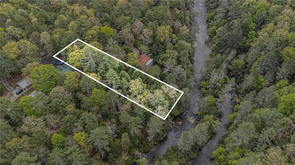 Lot 48 Indian Cave Road Ellijay, GA 30536 - Photo 3 of 10 a view of a forest with a forest