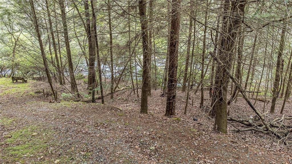 Lot 48 Indian Cave Road Ellijay, GA 30536 - Photo 5 of 10 a view of a forest with trees in the background