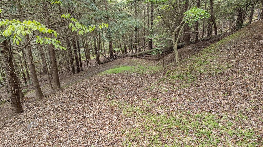 Lot 48 Indian Cave Road Ellijay, GA 30536 - Photo 6 of 10 a backyard of a house with lots of green space