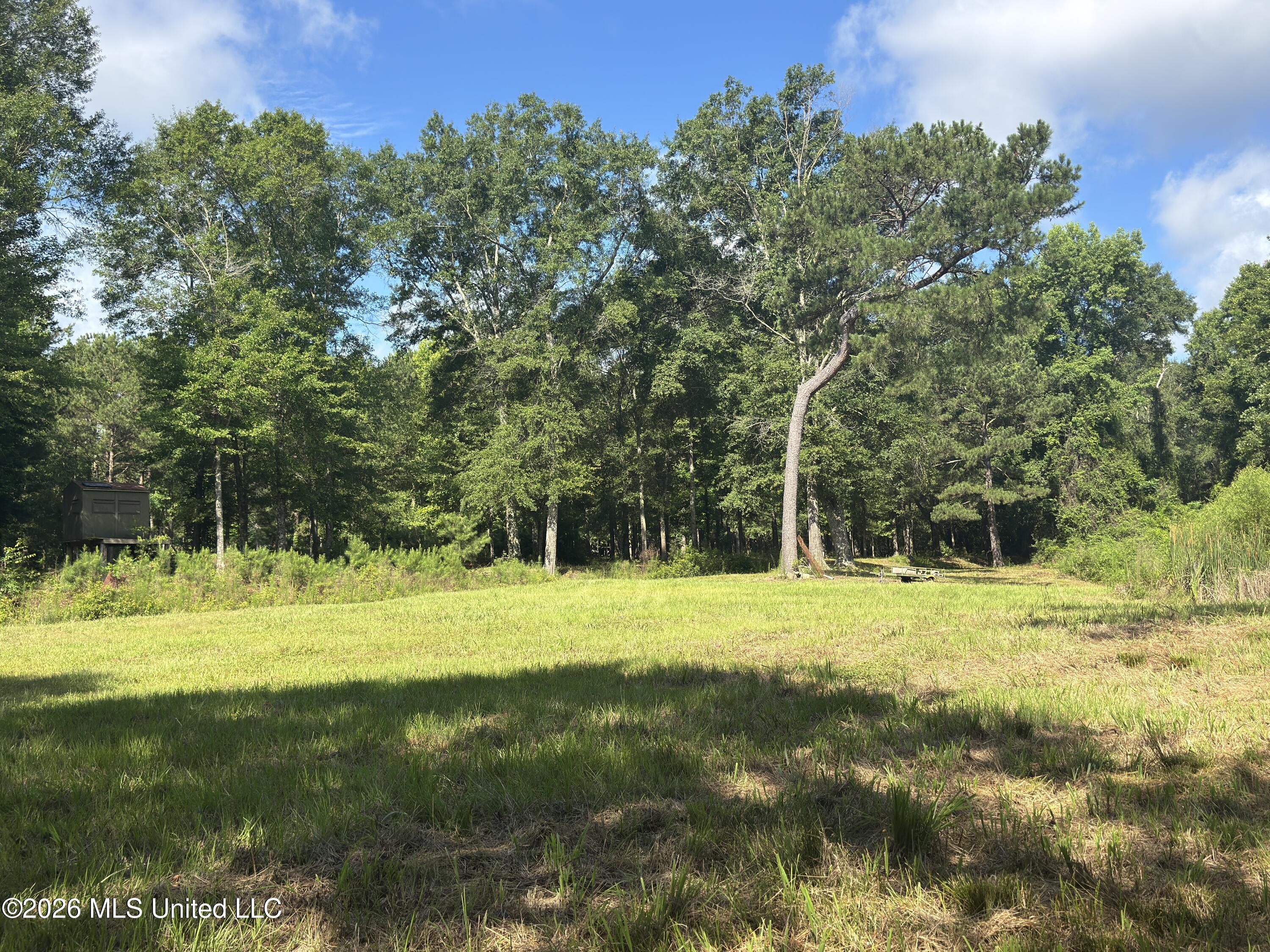 135 Joe Booth Road Taylorsville, MS 39168 - Photo 17 of 22 IMG_6442