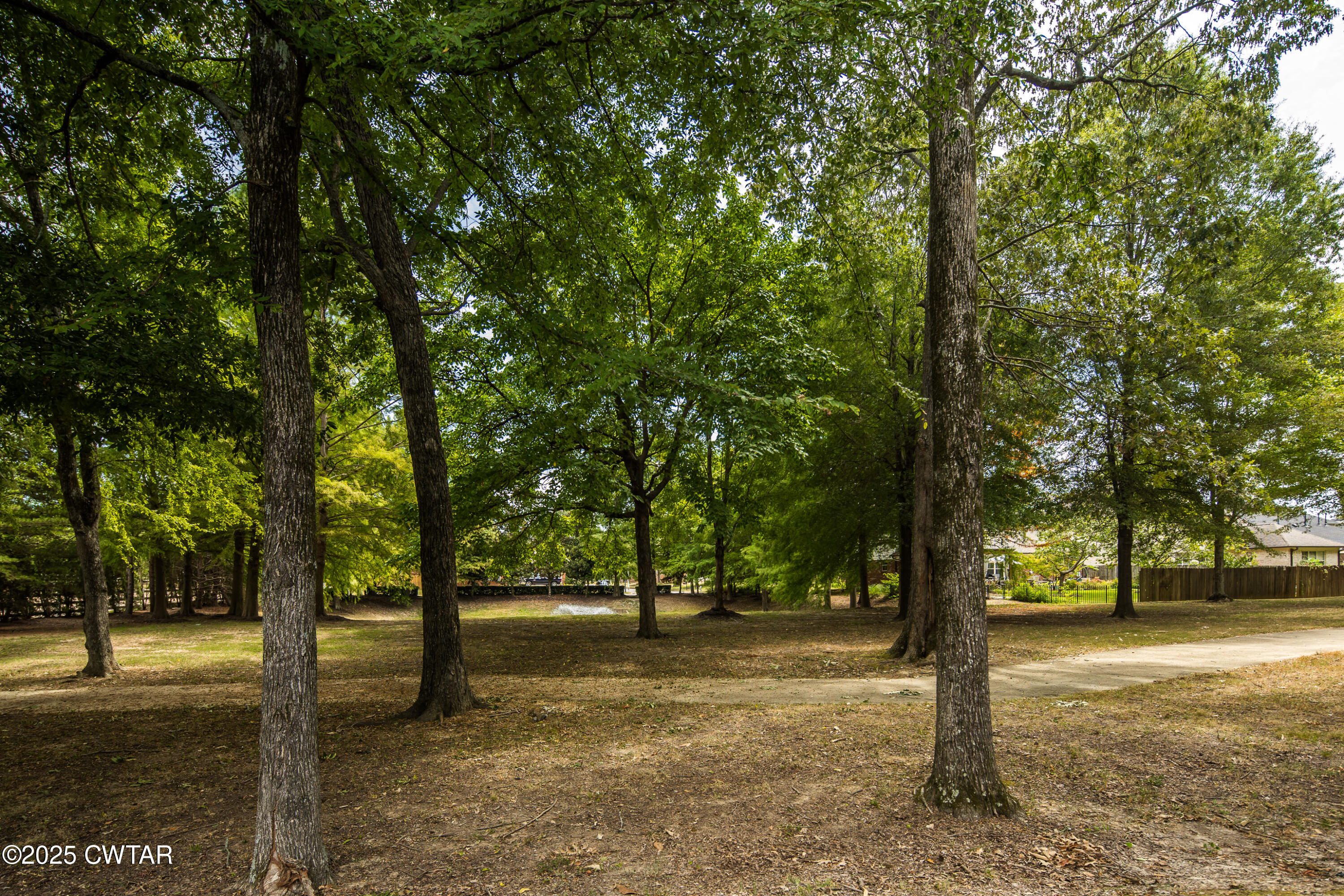 1647 Forsythe Trail Collierville, TN 38017 - Photo 28 of 32 a view of outdoor space with trees