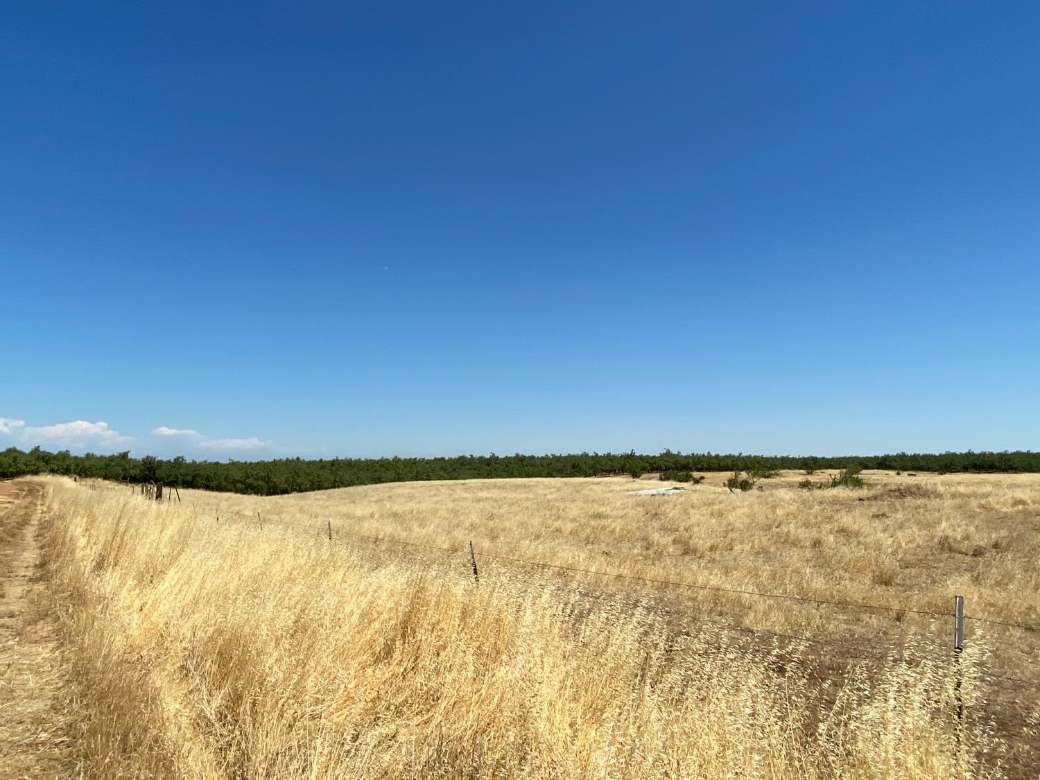 0 Wyer Road Arbuckle, CA 95912 - Photo 24 of 27