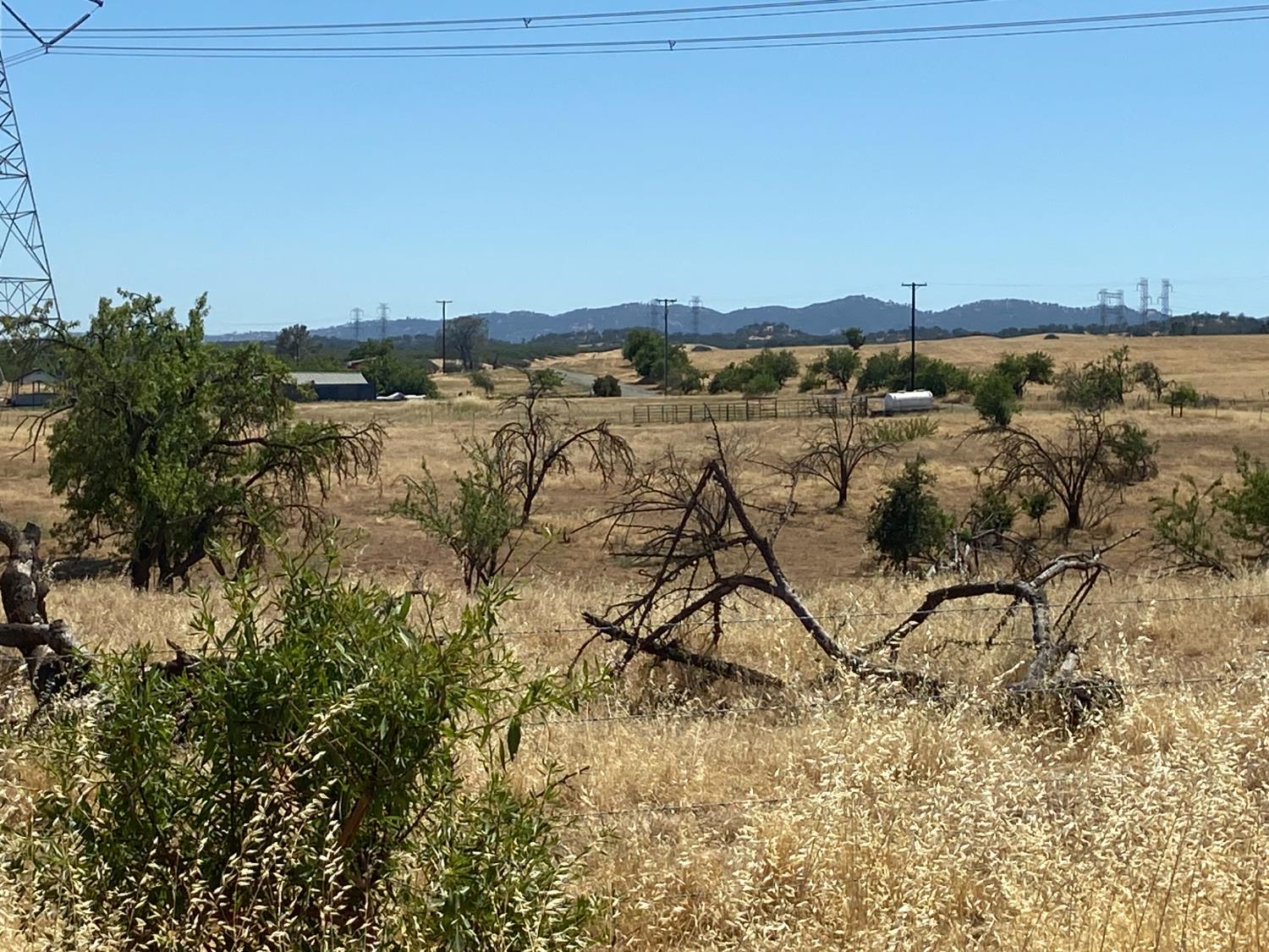 0 Wyer Road Arbuckle, CA 95912 - Photo 25 of 27