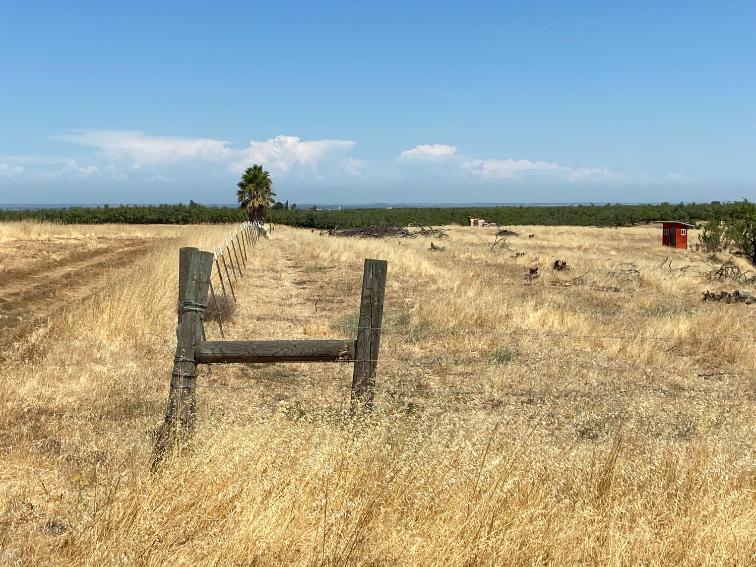 0 Wyer Road Arbuckle, CA 95912 - Photo 26 of 27