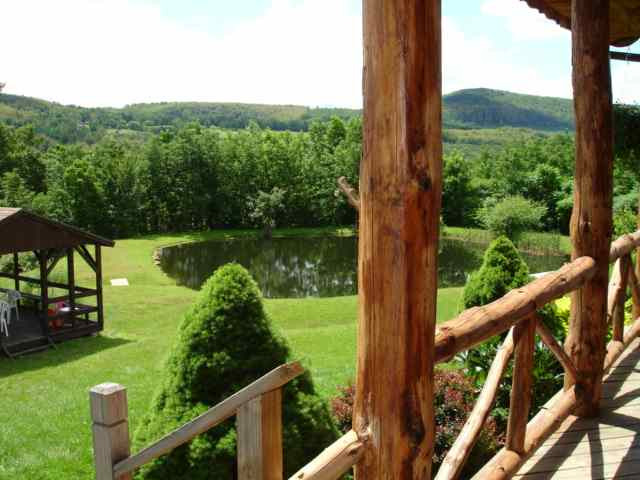 944 High View Road Richmondville, NY 12149 - Photo 3 of 10 Photo 3
