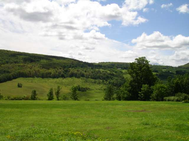 944 High View Road Richmondville, NY 12149 - Photo 7 of 10 Photo 7