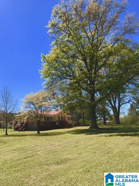15524 Highway 46 Heflin, AL 36264 - Photo 2 of 32