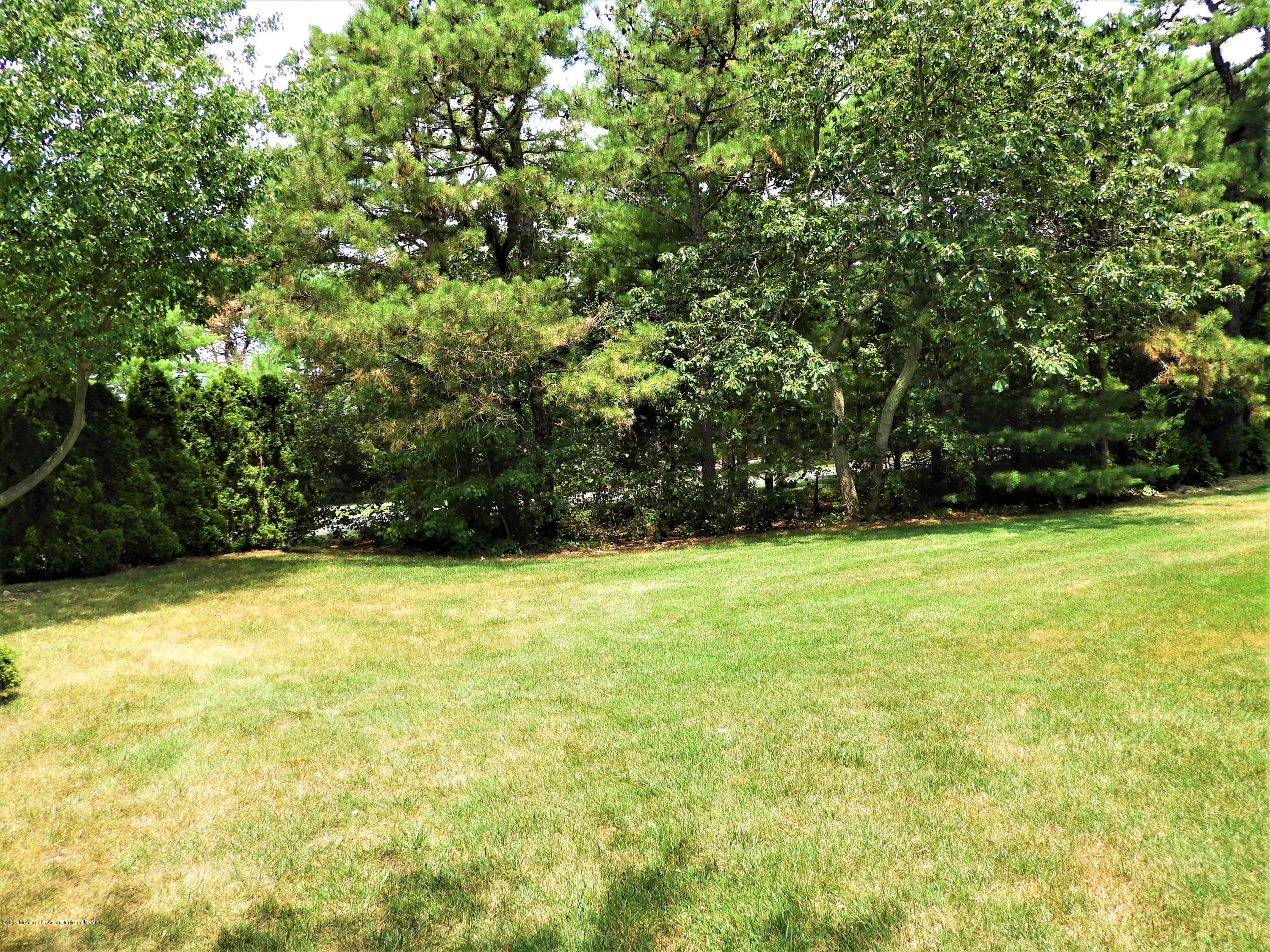 48 Silverside Road Lakewood, NJ 08701 - Photo 5 of 30 Tree Buffer