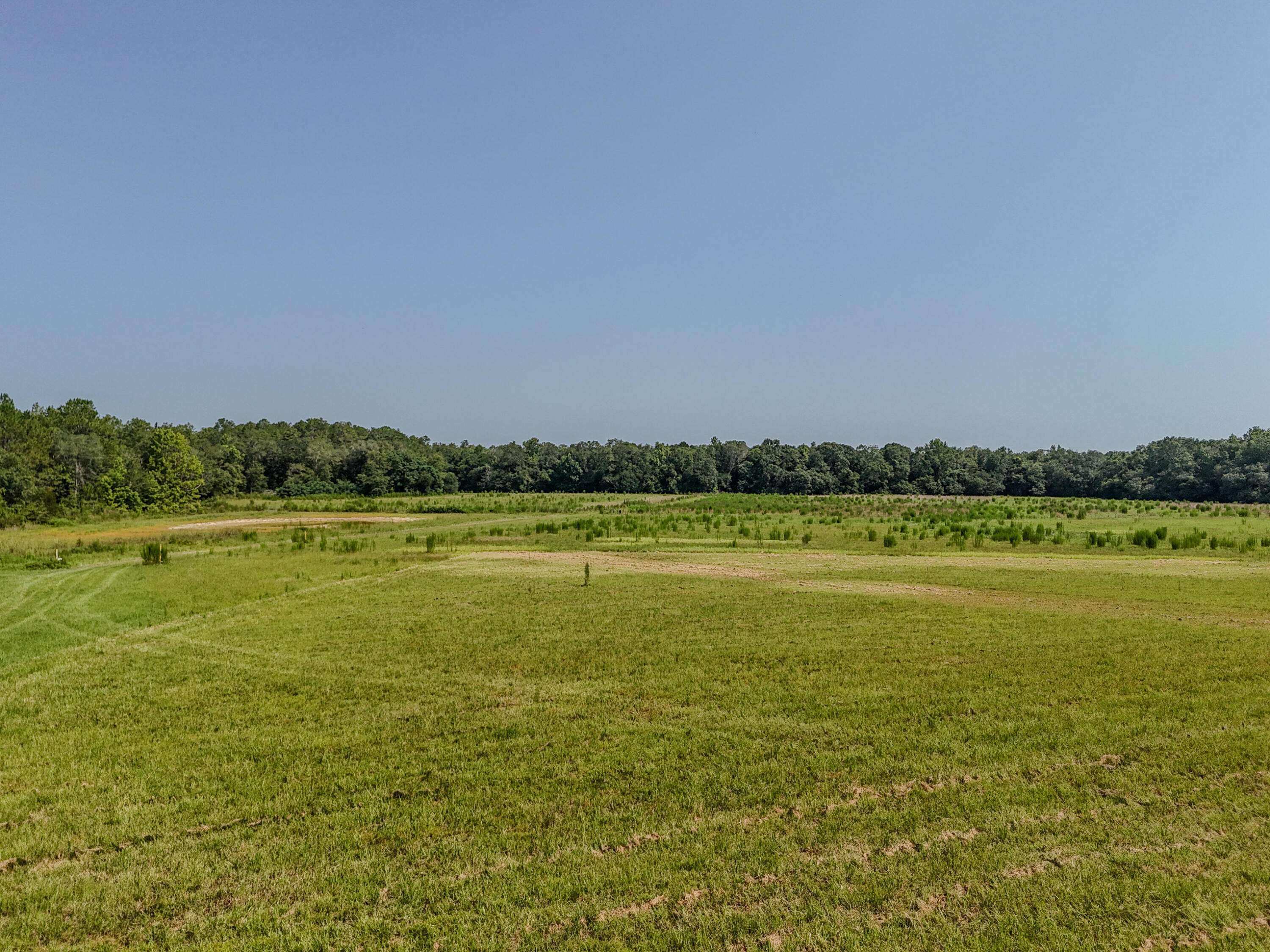 3128 County Road 10 Samson, AL 36477 - Photo 57 of 67 DJI_20260630231208_0024_D