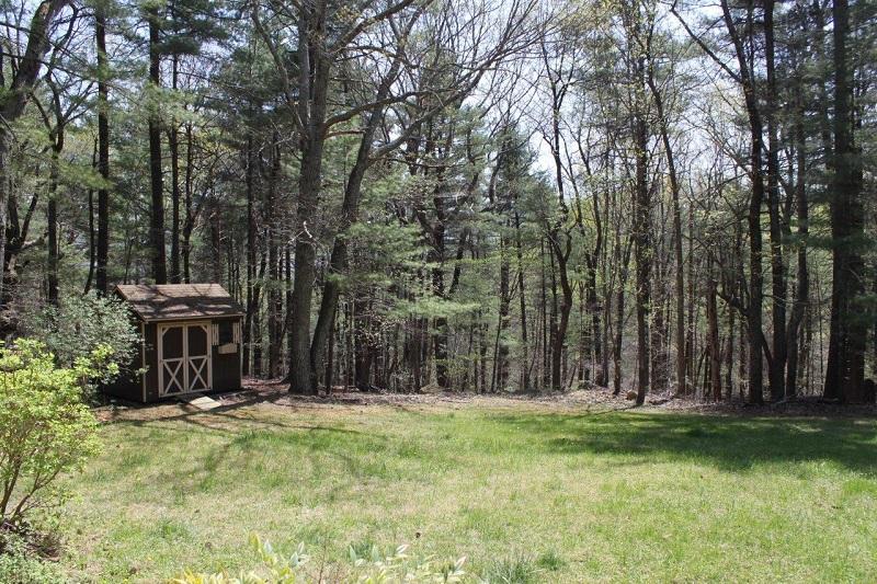 1298 Longview Road Roanoke, VA 24018 - Photo 6 of 41 04 - Back yard/Shed