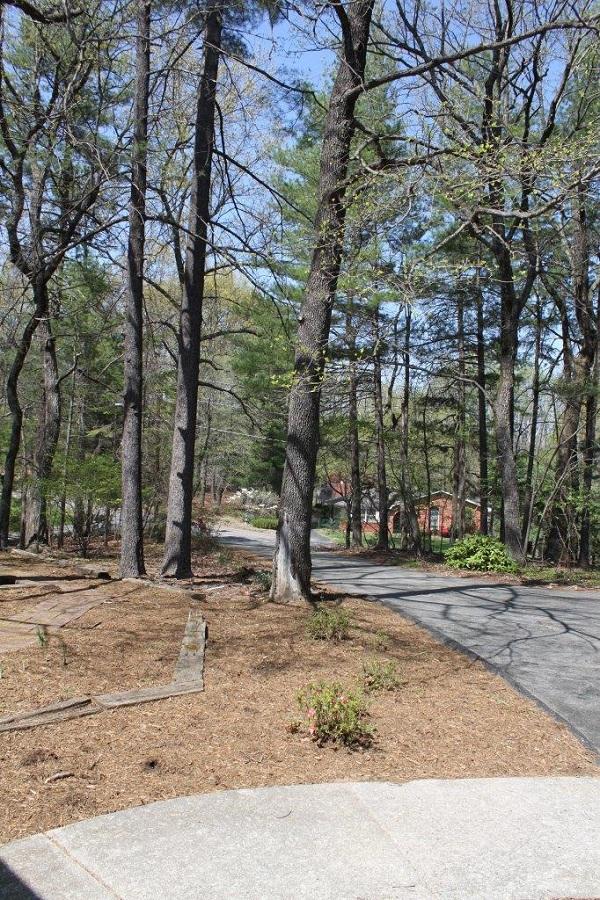 1298 Longview Road Roanoke, VA 24018 - Photo 10 of 41 08 - Driveway