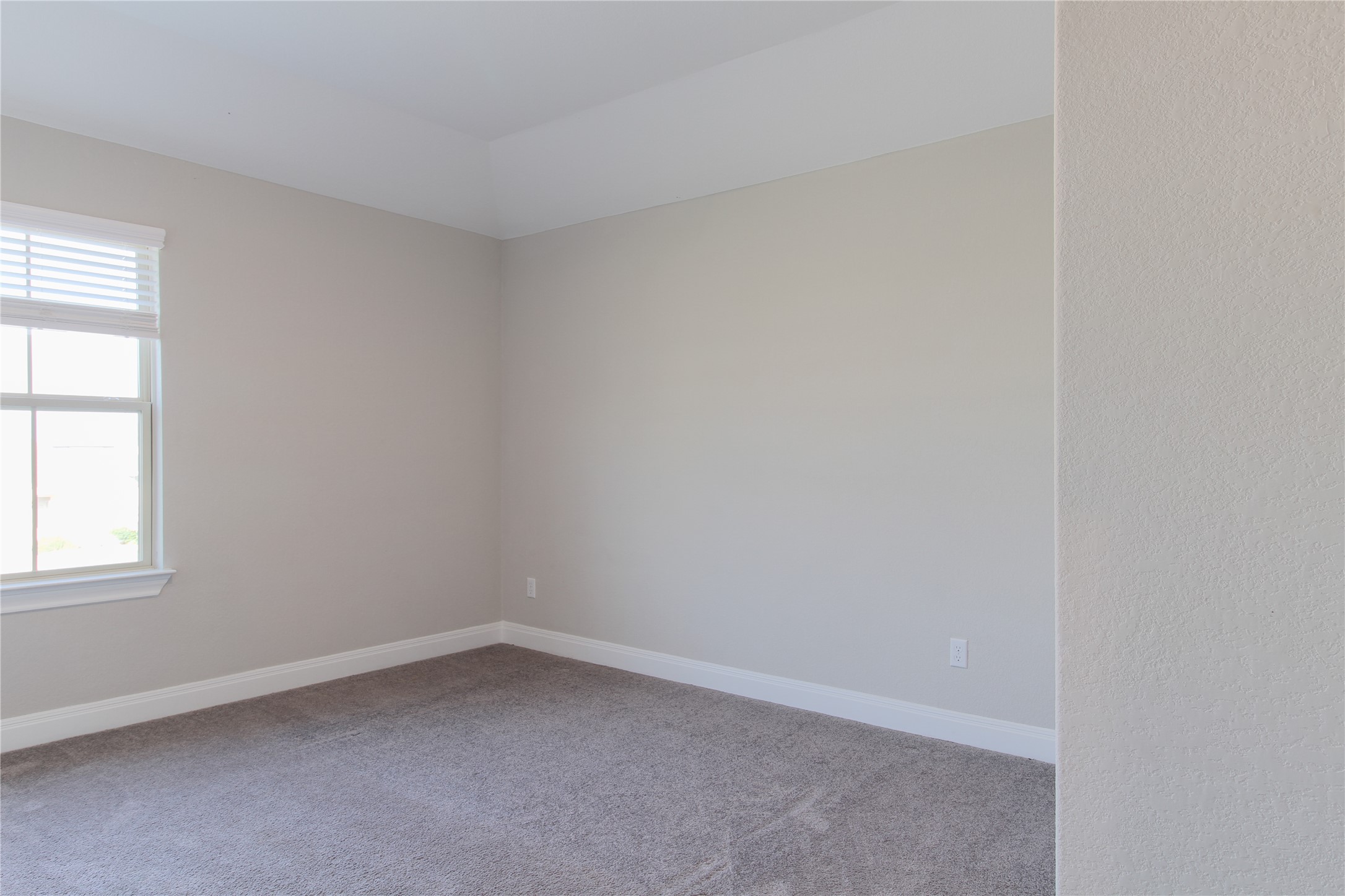 109 Yellow Thistle Cove Georgetown, TX 78626 - Photo 19 of 36 Spacious room featuring neutral paint, gray carpeting, a single window with blinds, white trim, and a tray ceiling