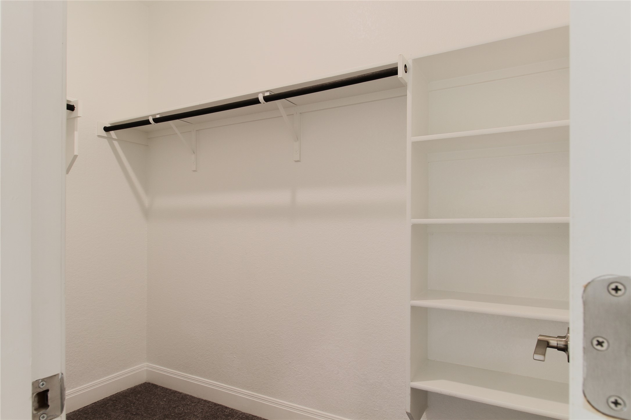 109 Yellow Thistle Cove Georgetown, TX 78626 - Photo 29 of 36 Walk-in closet featuring built-in shelving, white walls, and dark carpet flooring
