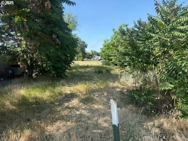 a view of an ocean beach