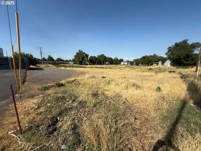 a view of a lake with a city