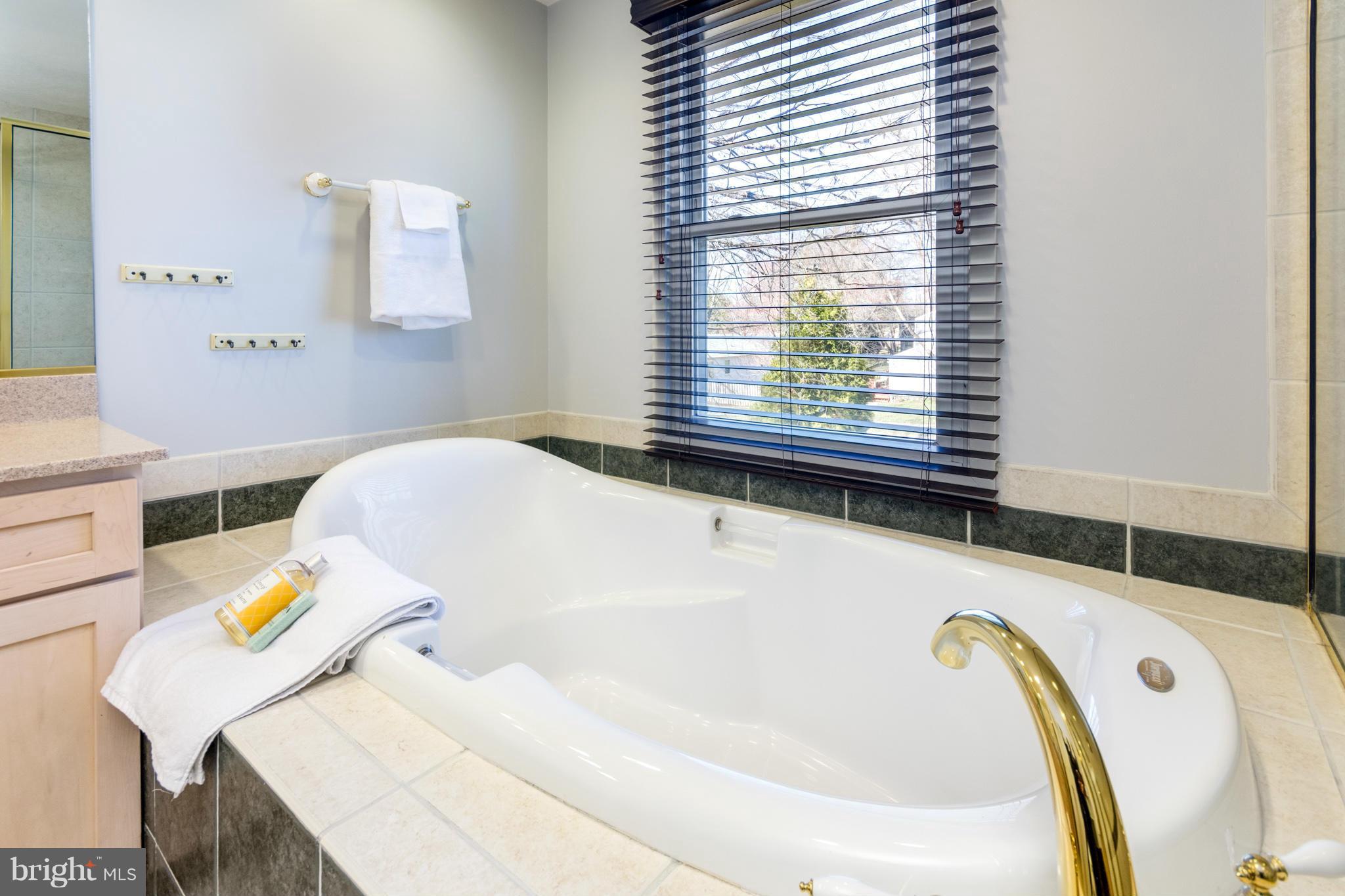 9347 Opal Chain Columbia, MD 21045 - Photo 16 of 30 Bath (Master)