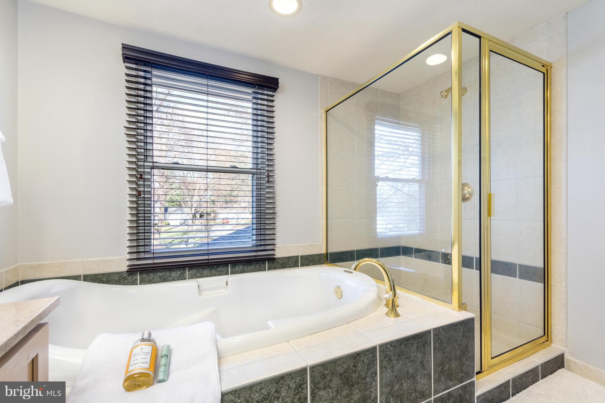 9347 Opal Chain Columbia, MD 21045 - Photo 17 of 30 Bath (Master)