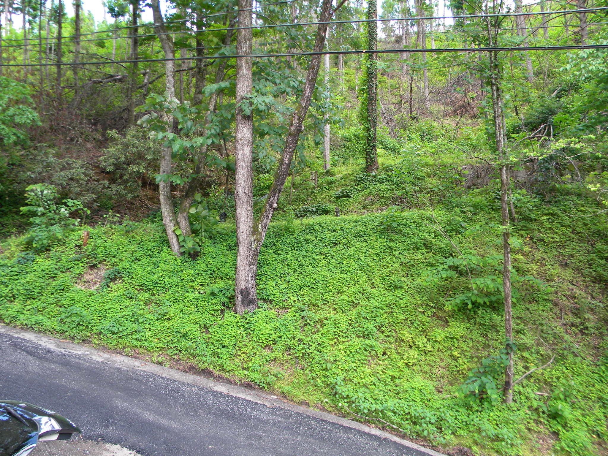 416 West Loop Road Gatlinburg, TN 37738 - Photo 1 of 6 01View Across St1