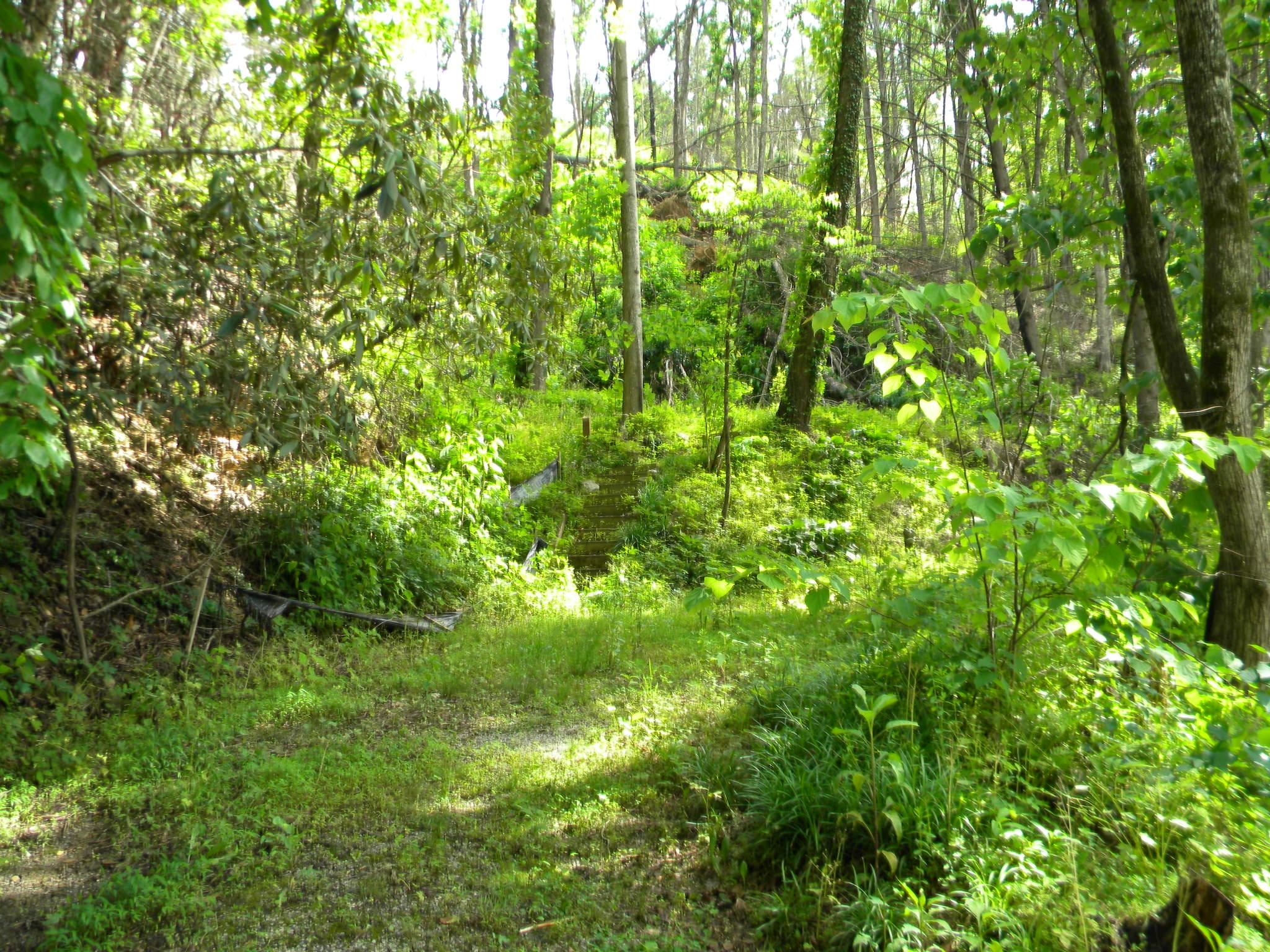 416 West Loop Road Gatlinburg, TN 37738 - Photo 2 of 6 02Stairs