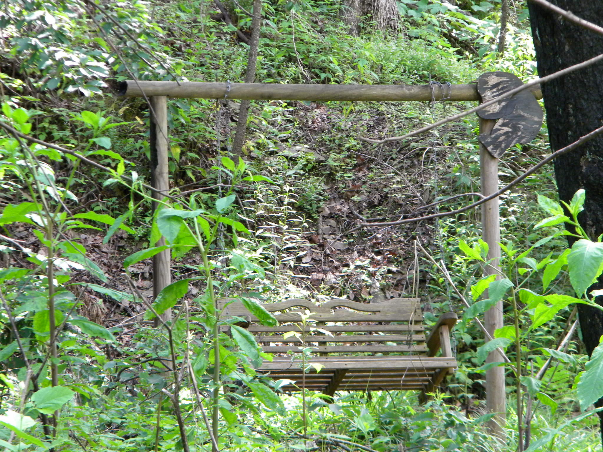 416 West Loop Road Gatlinburg, TN 37738 - Photo 3 of 6 03Swing