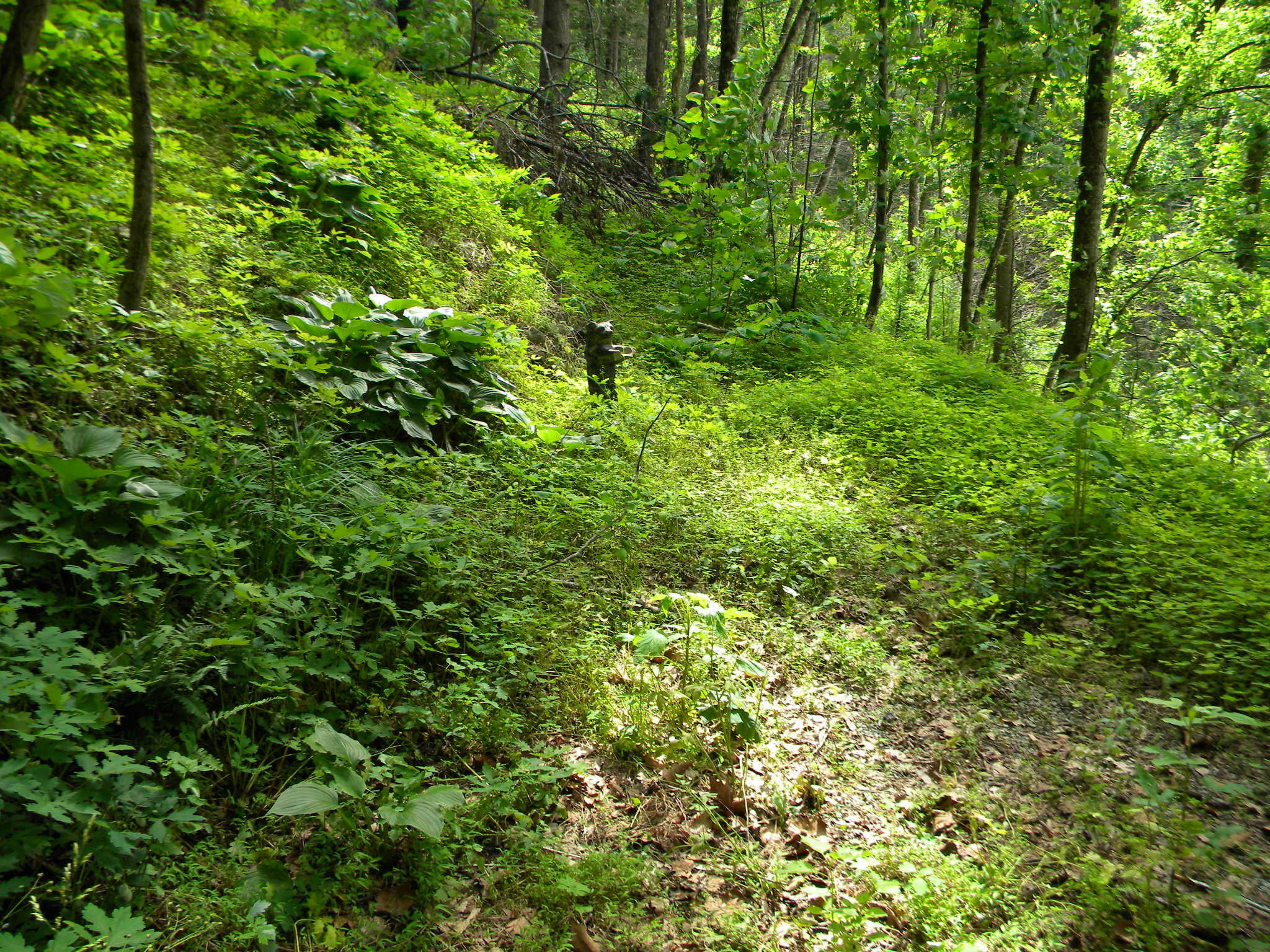 416 West Loop Road Gatlinburg, TN 37738 - Photo 4 of 6 04Bear