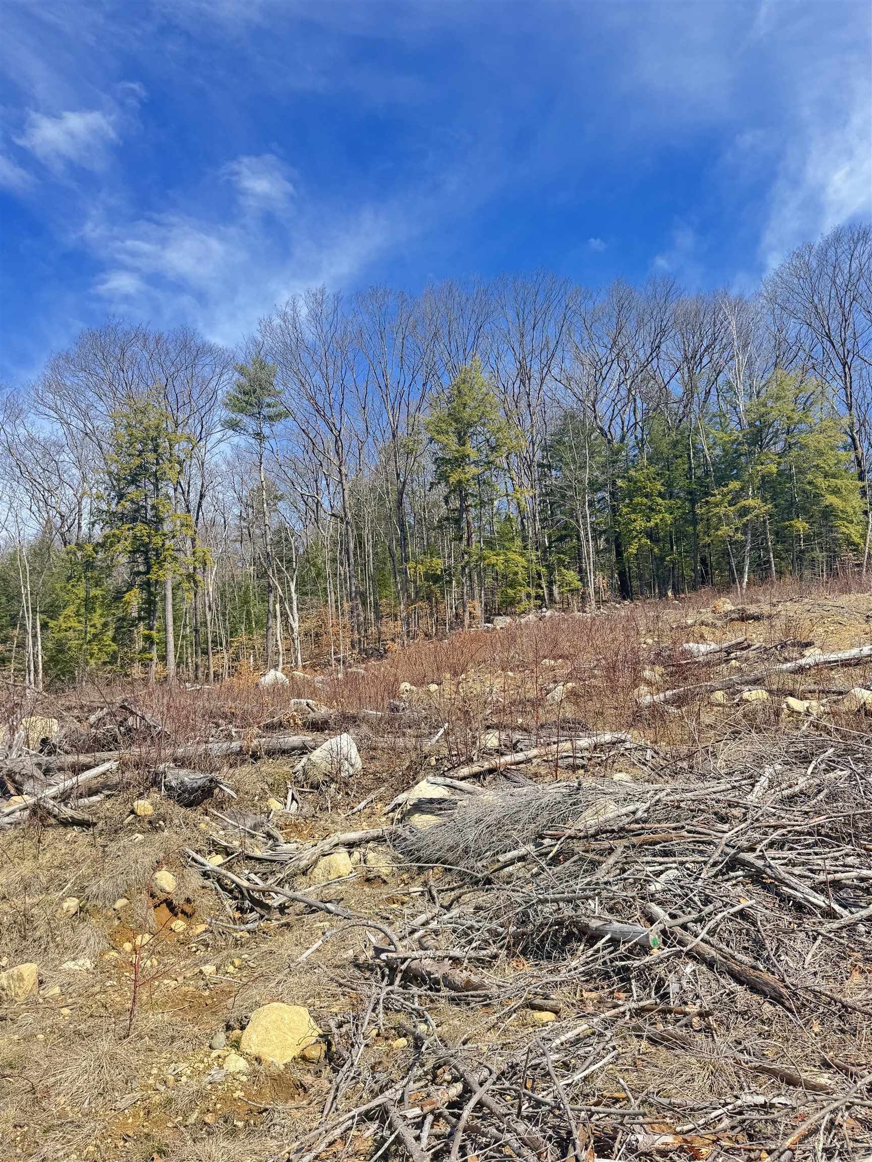 0 Drummer Road Keene, NH 03431 - Photo 4 of 15