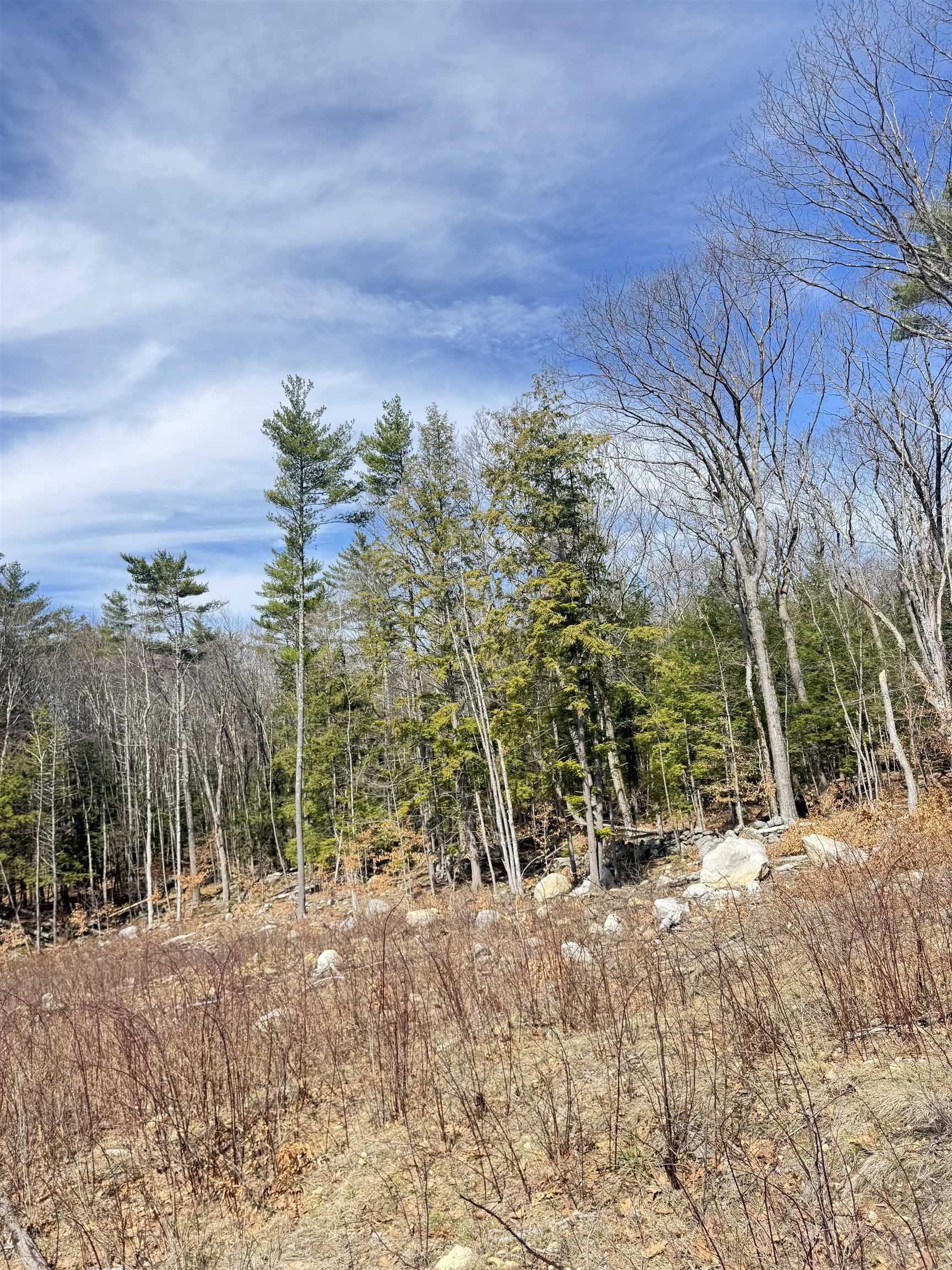 0 Drummer Road Keene, NH 03431 - Photo 5 of 15