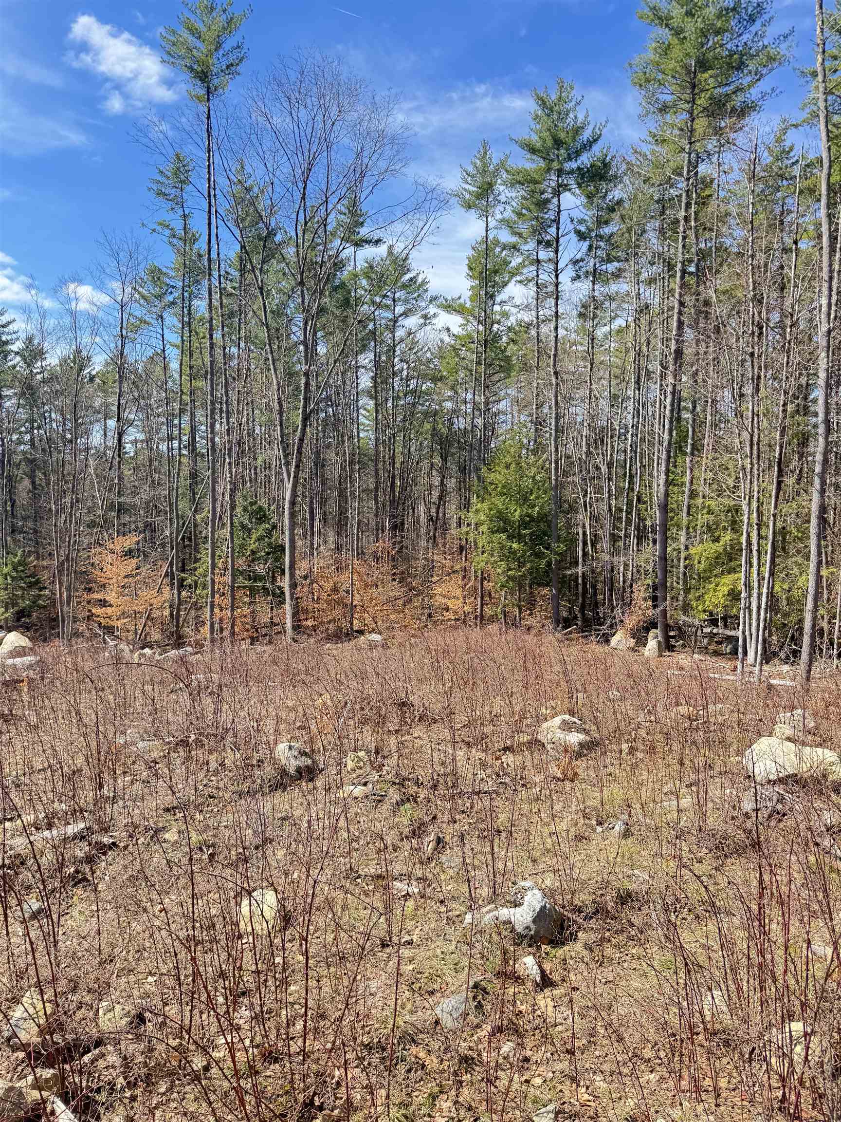 0 Drummer Road Keene, NH 03431 - Photo 8 of 15