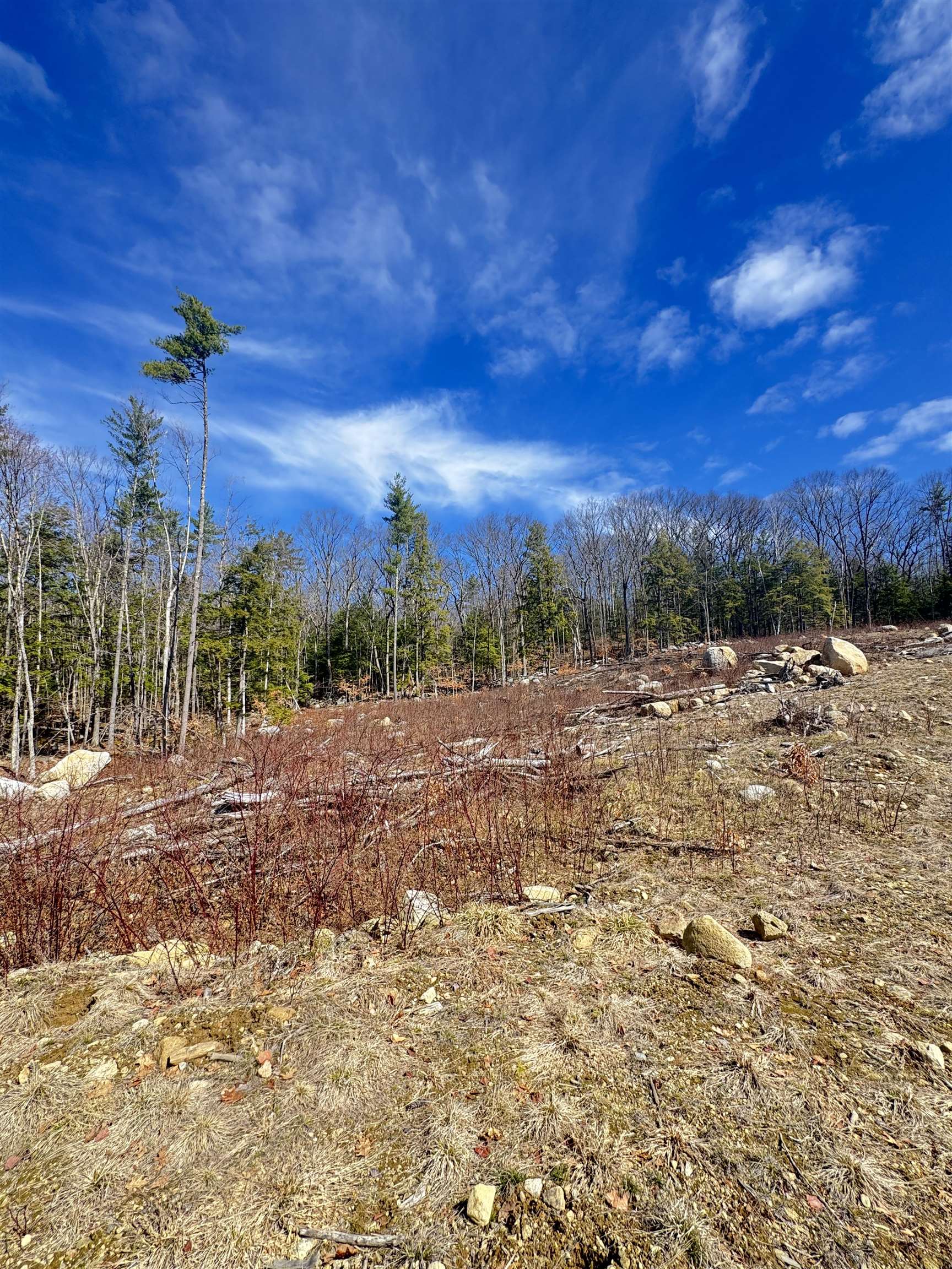 0 Drummer Road Keene, NH 03431 - Photo 9 of 15