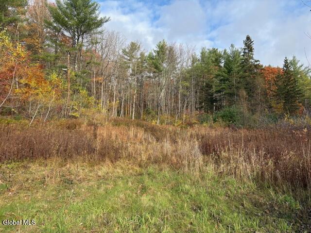 954 B State Highway 9N Au Sable, NY 12944 - Photo 1 of 26 Clearing at pull off on 9N Lot2