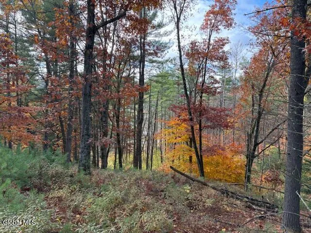 $79,900 | 954 B State Highway 9N, Au Sable, NY 12944