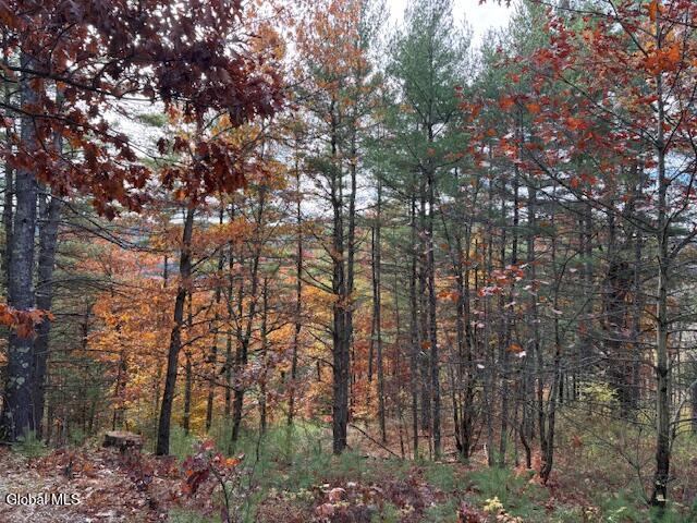 954 B State Highway 9N Au Sable, NY 12944 - Photo 12 of 26 IMG_2923 (1)