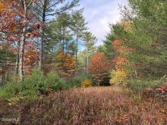 $79,900 | 954 B State Highway 9N, Au Sable, NY 12944