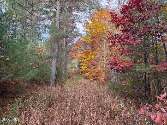 954 B State Highway 9N Au Sable, NY 12944 - Photo 14 of 26 IMG_2925 (1)