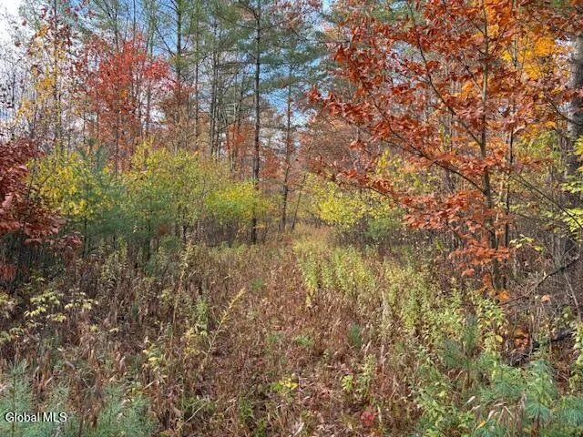 $79,900 | 954 B State Highway 9N, Au Sable, NY 12944