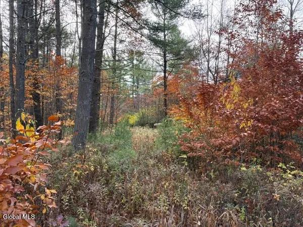 $69,900 | 954 B State Highway 9N, Au Sable, NY 12944