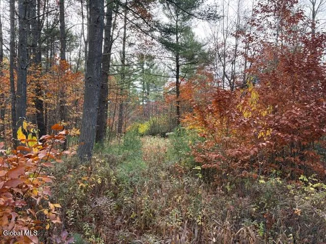 $79,900 | 954 B State Highway 9N, Au Sable, NY 12944