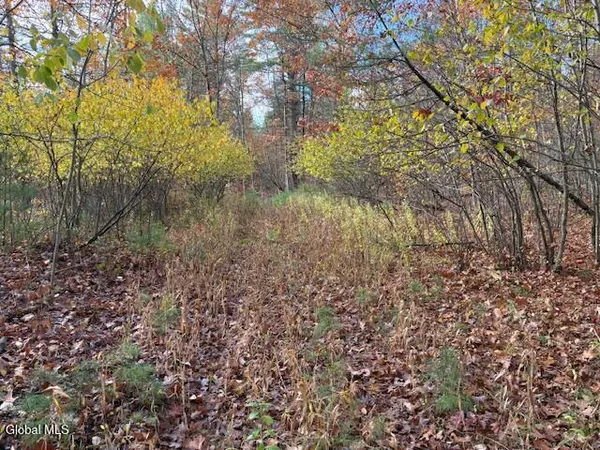 $69,900 | 954 B State Highway 9N, Au Sable, NY 12944