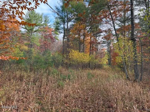 $69,900 | 954 B State Highway 9N, Au Sable, NY 12944
