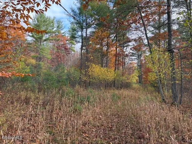 $79,900 | 954 B State Highway 9N, Au Sable, NY 12944